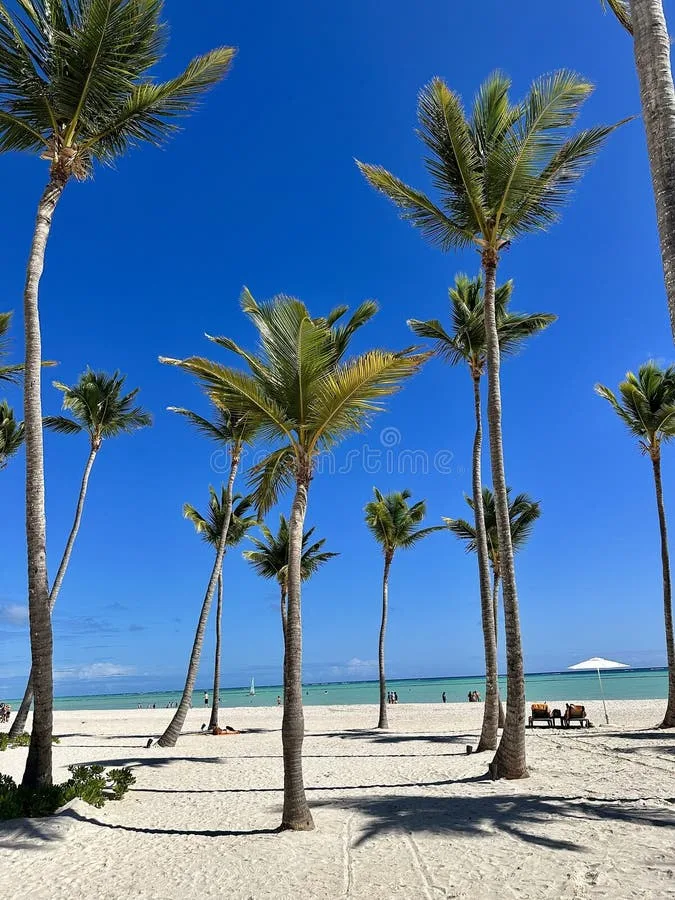 Transfers privados a Punta Cana, República Dominicana